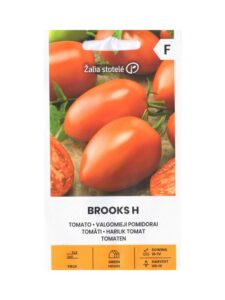 Pomidoras "Brooks H" Žalia stotele 10 sėklų
