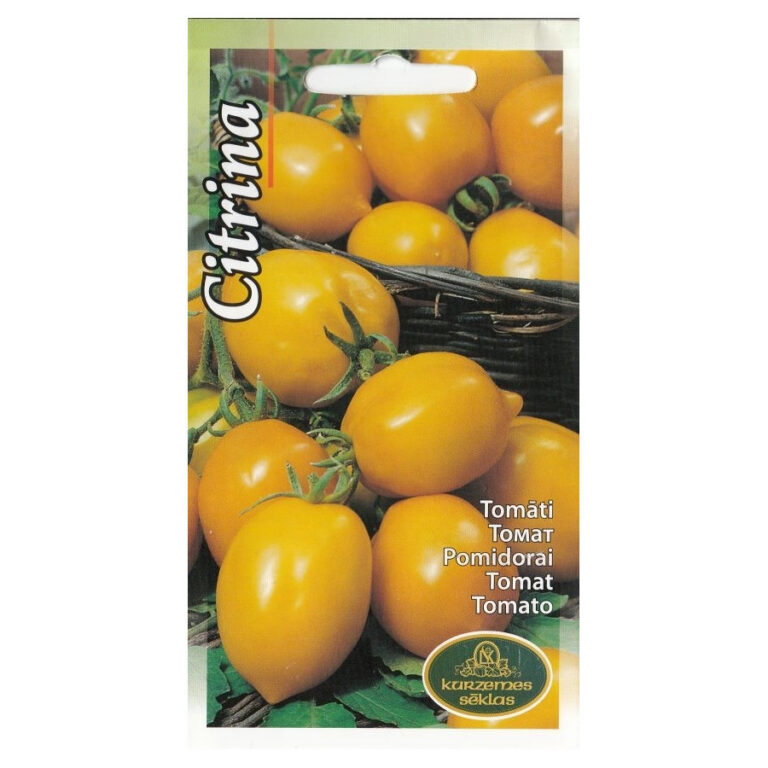 Tomat "Citrina" Žalia stotele 0,2 g