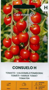 Pomidoras "Consuelo H" Žalia stotele 10 sėklų