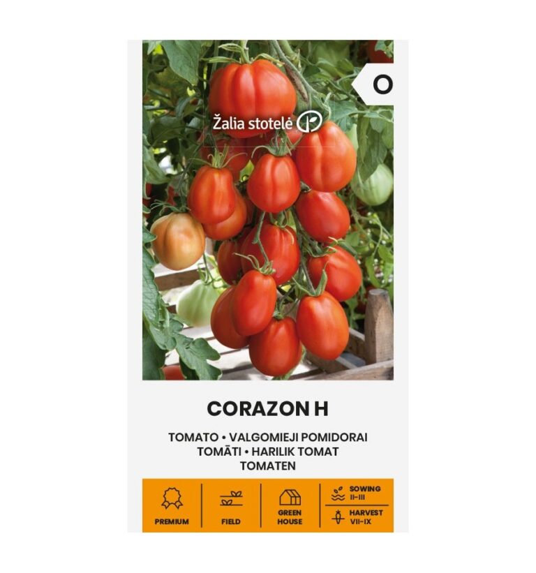 Tomat "Corazon H" Žalia stotele 5 s.