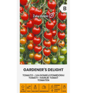 Tomat "Gardener's Delight" Žalia stotele 0,1 g