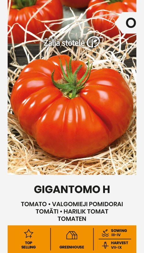 Tomat "Gigantomo H" Žalia stotele 10 s.