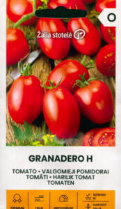 Tomat "Granadero H" Žalia stotele 10 s.