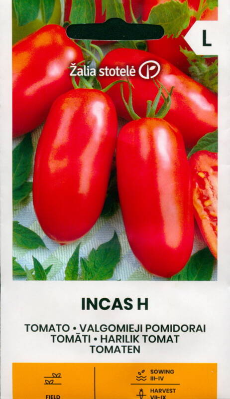 Tomaatti "Incas H" Žalia stotele 15 siementä