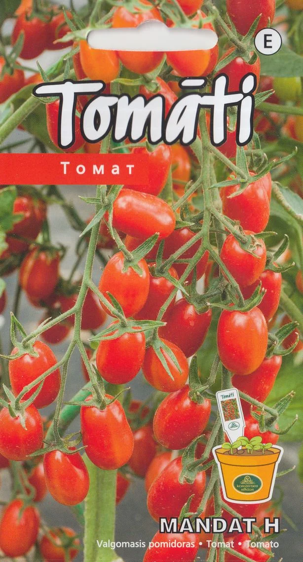 Tomato "Mandat H" KURZEMES SĒKLAS 0.01 g