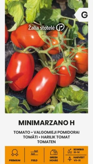 Tomato "Minimarzano H" Žalia stotele 10 seeds