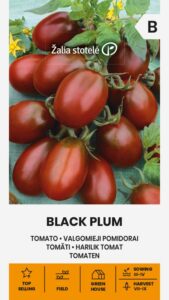 Pomidoras "Black Plum" Žalia stotele 0,1 g