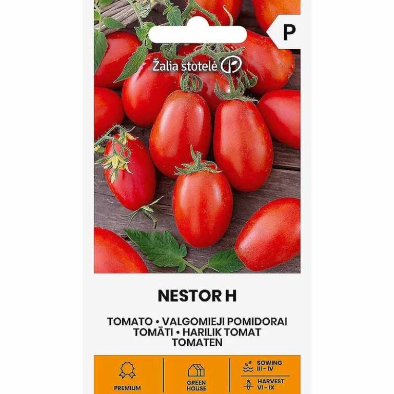 Tomat "Nestor H" Žalia stotele 10 s.
