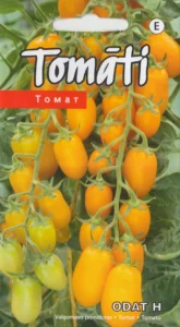 Tomat "Odat H" KURZEMES SĒKLAS 5 s.