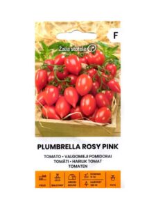 Tomat "Plumbrella Rosy Pink" Žalia stotele 5 s.