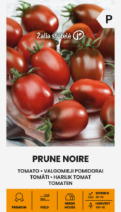 Tomat "Prune Noire" Žalia stotele 5 s.