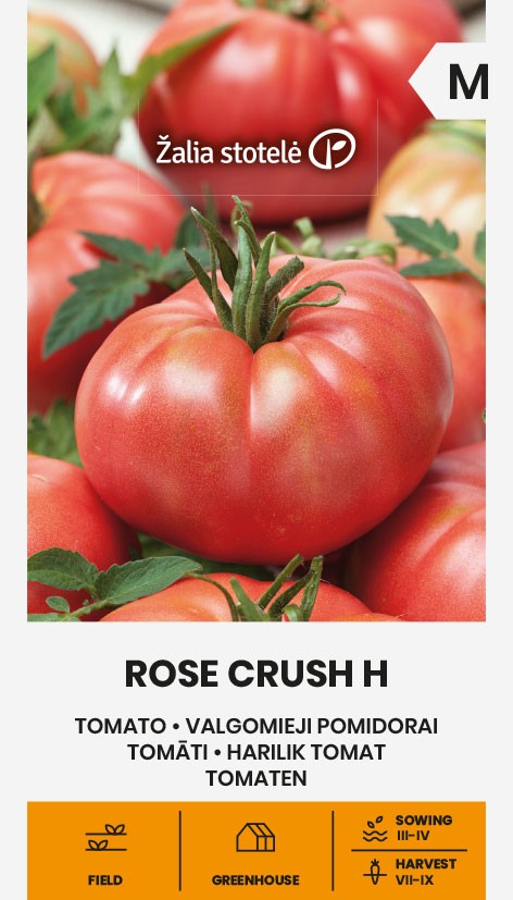 Tomaatti "Rose Crush H" Žalia stotele 7 siementä