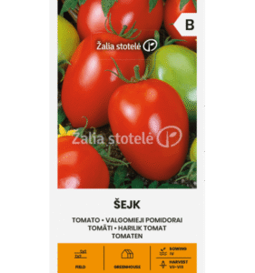 Tomat "Šejk" Žalia stotele 0,2