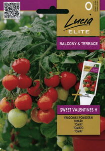 Tomat "Sweet Valentines H" Lucia ELITE 7 s.