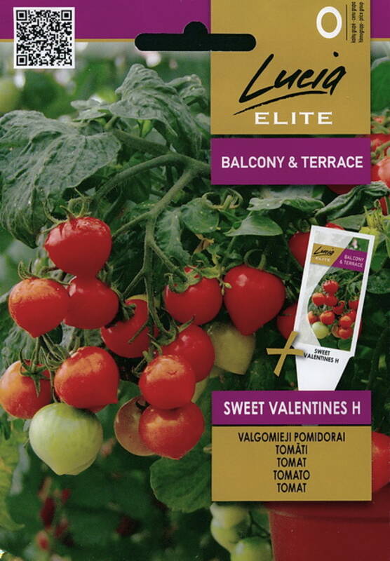 Tomato "Sweet Valentines H" Lucia ELITE 7 seeds
