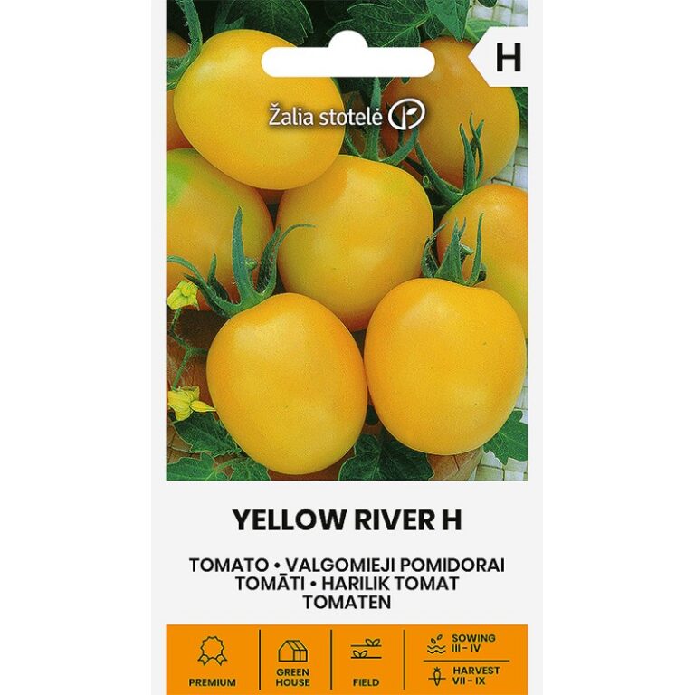 Tomat "Yellow River H" Žalia stotele 12 s.