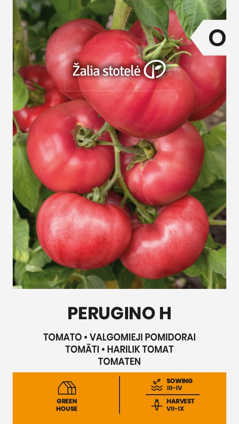 Tomāts "Perugino H" Žalia stotele 10 sēklas