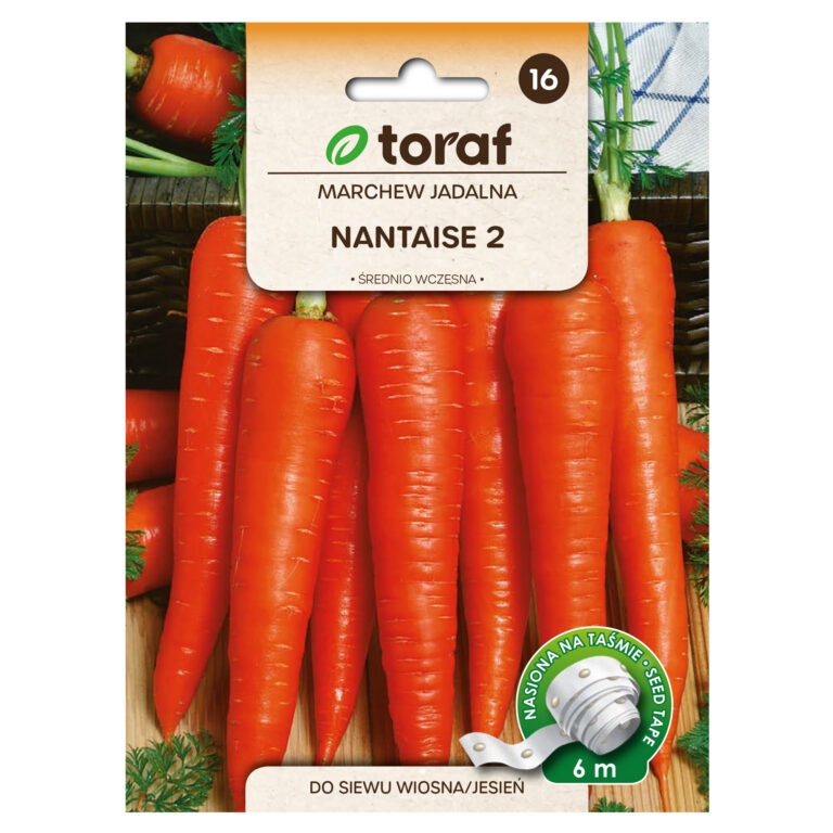 Porgand "Nantes 2" seemnelindil 6 m Toraf