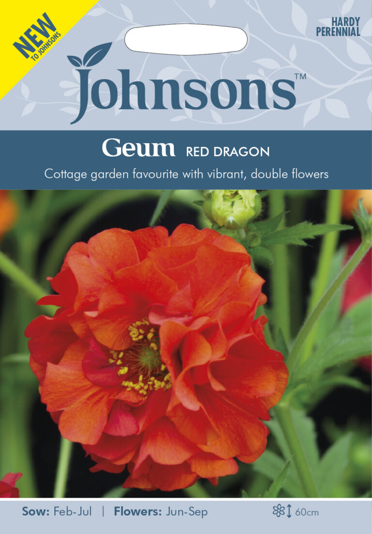 Tšili Mõõl "Red Dragon" Johnsons 50 s.