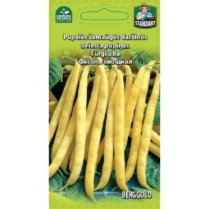 Türgi uba "Berggold" NOJAUS SĖKLOS 10 g