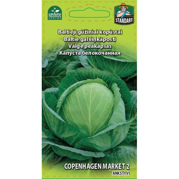 White cabbage "Copenhagen Market 2" NOJAUS SEKLOS 1 g