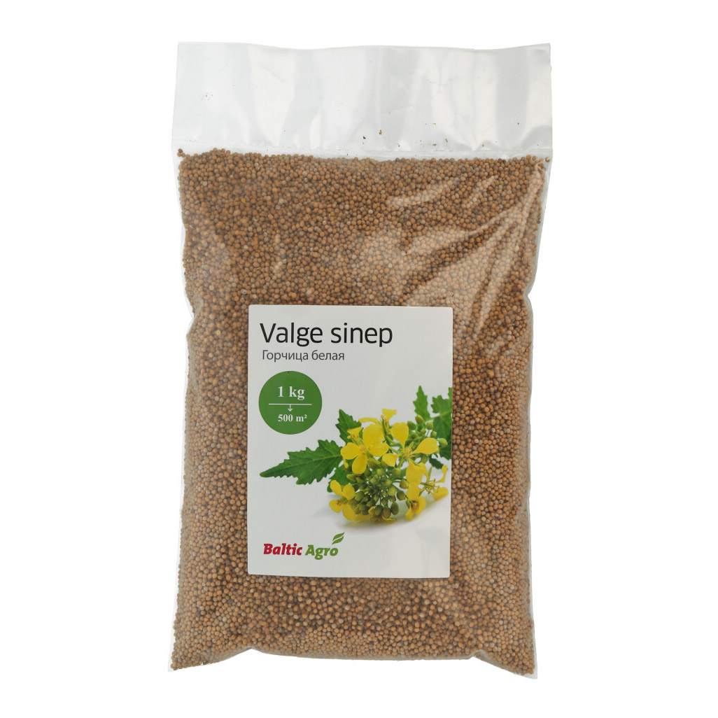 Valge sinep Baltic Agro 1 kg