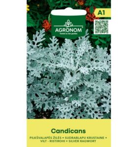 Vilt-ristrohi "Candicans" AGRONOM 0,1 g