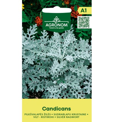 Vilt-ristrohi "Candicans" AGRONOM 0,1 g
