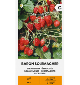 Земляника "Baron Solemacher", 0,1 г, Žalia stotelė
