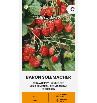 Sodinė braškė "Baron Solemacher" Žalia stotele 0,1g