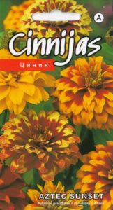 Zinnia "Aztec Sunset" 0,2 g