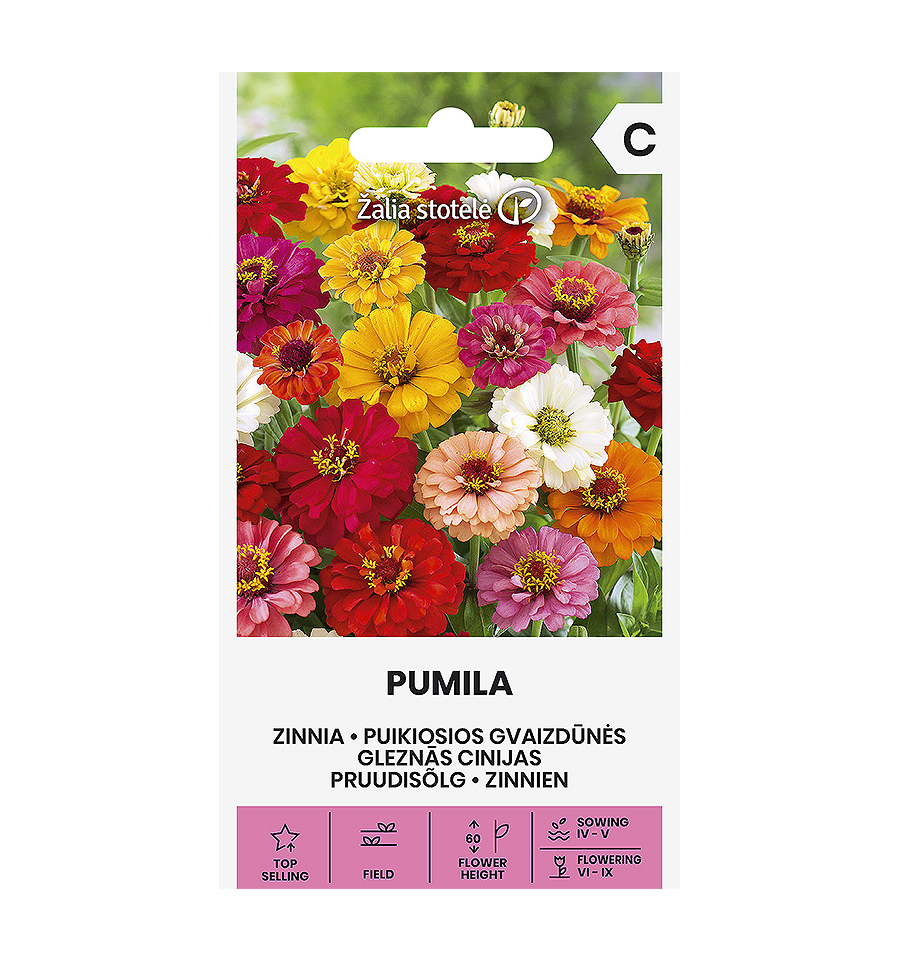Gvaizdūnė "Pumila" Žalia stotele 1 g