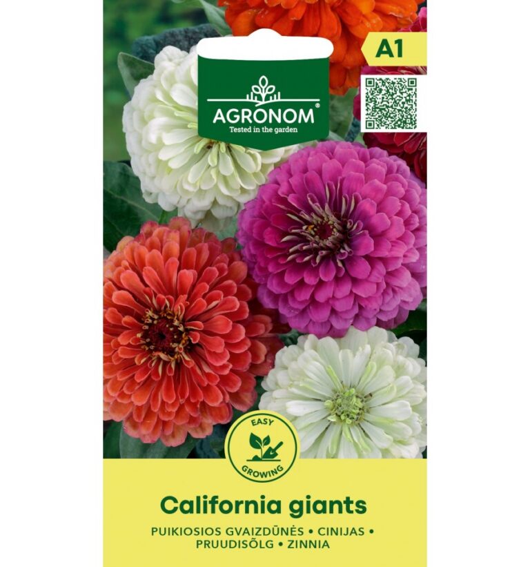 Pruudisõlg "California Giants" AGRONOM 0,5 g