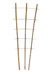 Bambusa augu kāpnes, 3 zari, 5-6 pakāpieni, 180 cm