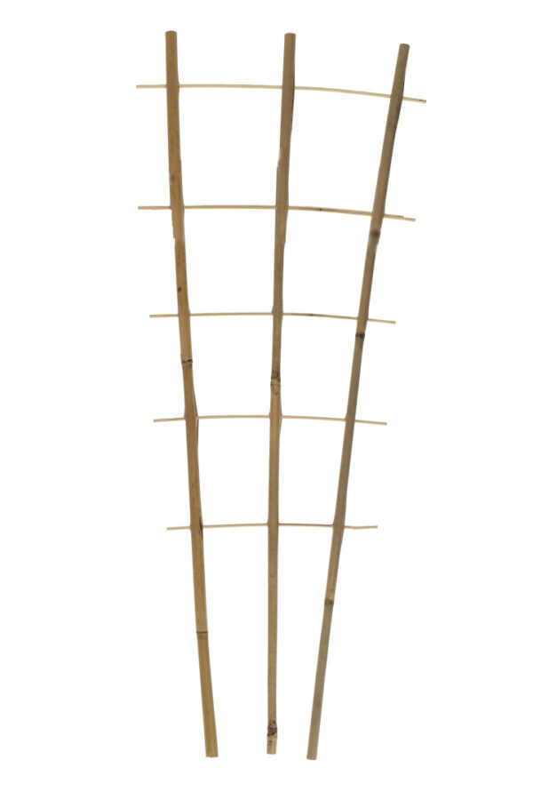 Bambuinen kasvitikas, 3 haaraa, 5-6 askelmaa, 180 cm
