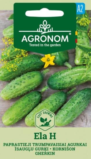 Kurkku (etikkakurkku) "Ela F1", siemenet Agronom 1 g