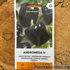 Paprika "Andromeda" (Capsicum annuum)