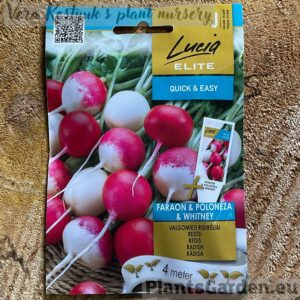 Редис "Faraon & Poloneza & Whitney" на ленте Lucia ELITE 4 м