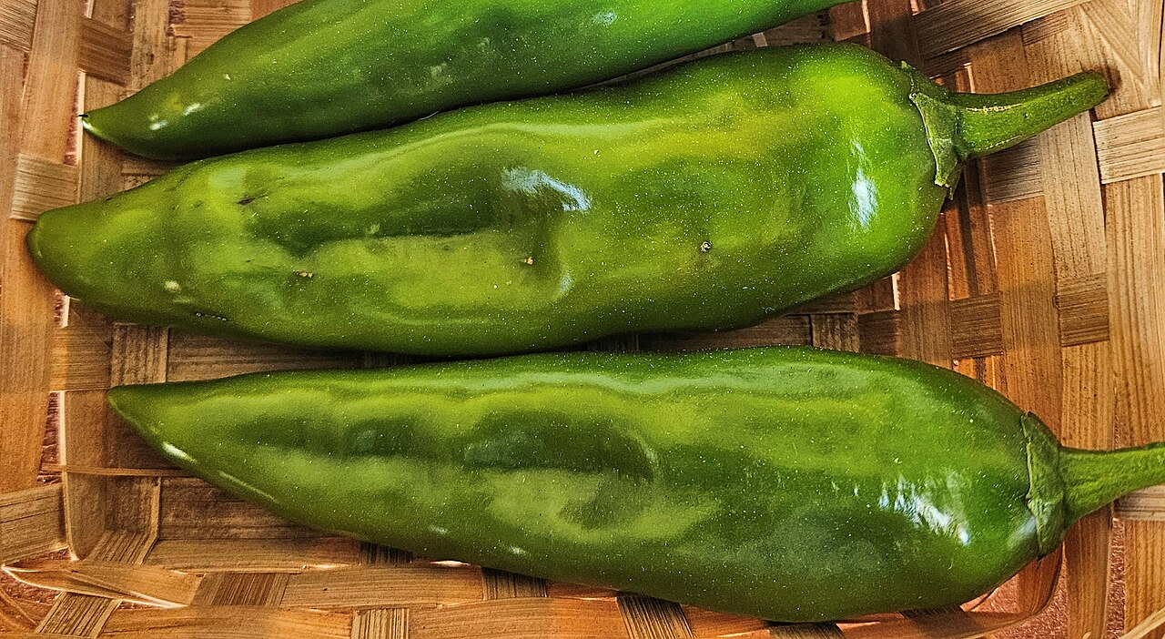 Capsicum an. "Anaheim Chili"