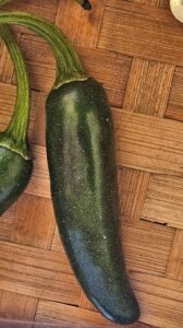Capsicum an. "Jalapeno"