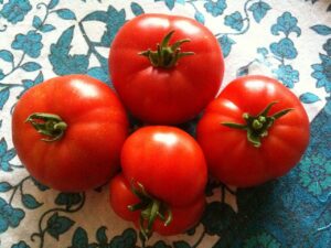 Solanum l. "Super Marmande"