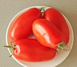 Solanum l. "S.Marzano2"