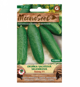 Kurk "Tolstoj F1" Moravo Seed 10 s.