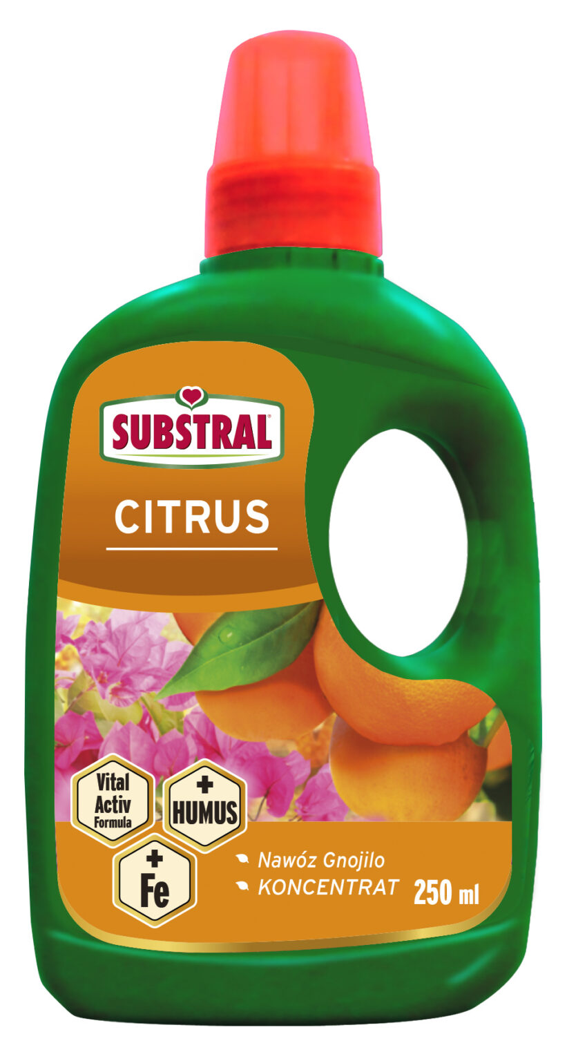 Trąšos citrusiniams augalams su humusu Substral 250 ml