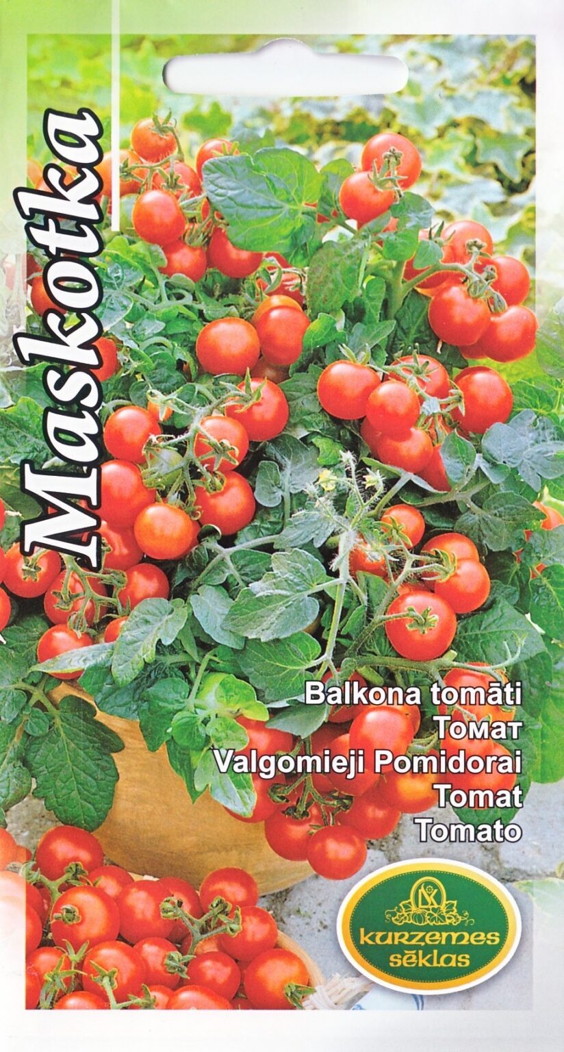 Tomato "Maskotka", 0.1 g, Kurzemes Sēklas