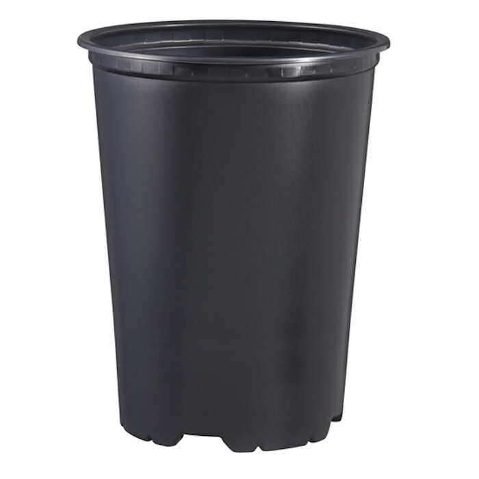 Rose pot Ø14 cm H18 cm black