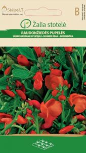 Phaseolus coccineus Žalia stotele 8 g
