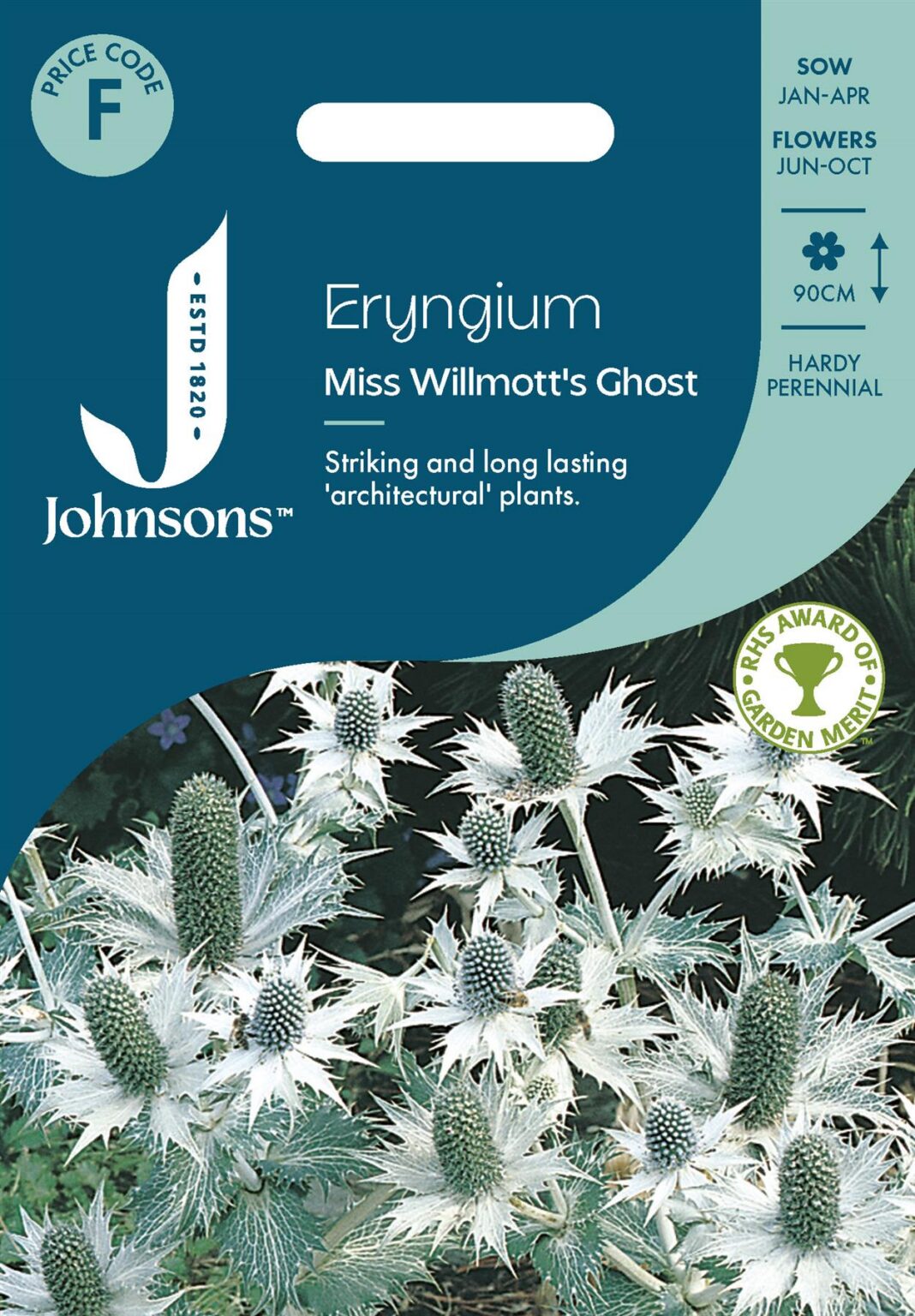 Эрингиум "Miss Willmott's Ghost" 30 семян