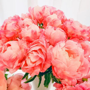 Aedpojeng "Pink Choice"