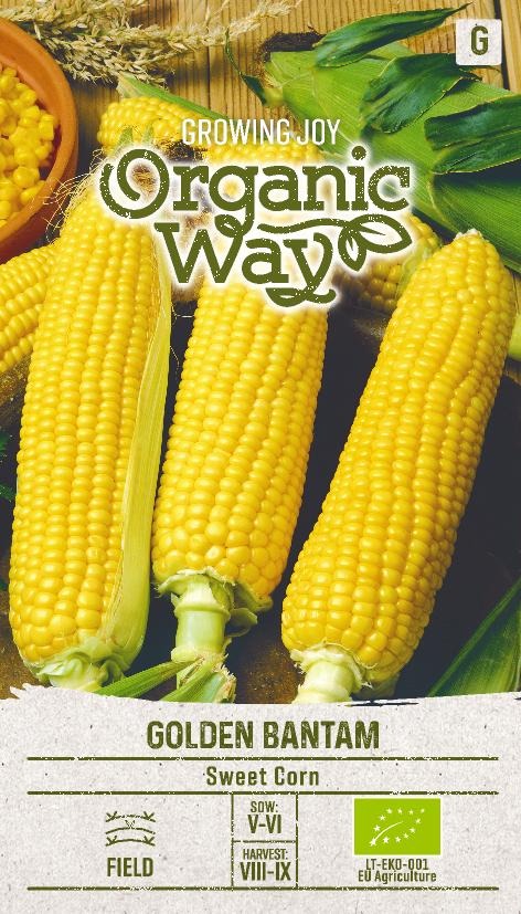 Sokerimaissi Zea mays "Golden Bantam", luomusiemenet Organic Way 3 g